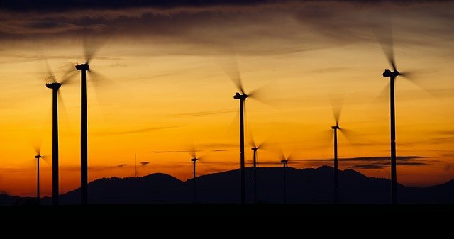 golden sky, silouetted windmills