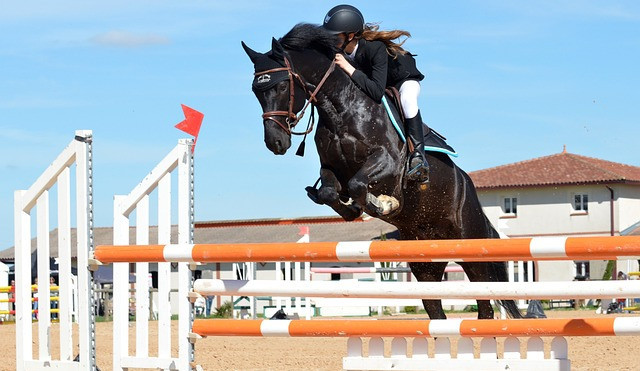 Horse jumping an obstacle